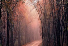 欧国联/决赛最贵阵:姆巴佩、亚马尔领衔,总身价.亿欧.