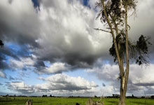 亚冬会 | 印度大叔“轮转冰”2025-02-10.