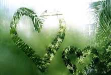 九球体育:55+11+11!Logo绝杀!东契奇给你跪了....