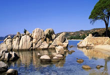 林诗栋孙颖莎继续领跑世界排名.